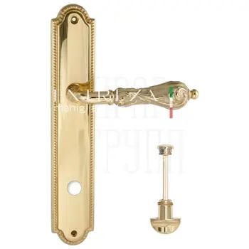 Дверная ручка Extreza 'GRETA' (Грета) 302 на планке PL03 полированное золото (wc)
