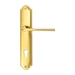 Дверная ручка Extreza "TERNI" (Терни) 320 на планке PL03, полированное золото (cyl)