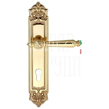 Дверная ручка Extreza 'DANIEL' (Даниел) 308 на планке PL02 полированное золото (cyl)