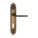 Дверная ручка Extreza "TERNI" (Терни) 320 на планке PL02, матовая бронза (cab) (KEY)