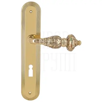 Дверная ручка Extreza 'TESLA' (Тесла) 315 на планке PL05 полированное золото (cab) (KEY)