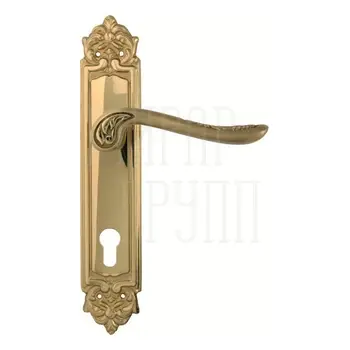 Дверная ручка на планке Melodia 285/229 'Daisy' полированная латунь