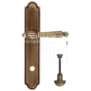 Дверная ручка Extreza "DANIEL" (Даниел) 308 на планке PL03