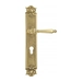 Дверная ручка Venezia "PELLESTRINA" на планке PL97, полированная латунь (cyl)