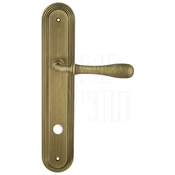 Дверная ручка Extreza "CARRERA" (Каррера) 321 на планке PL05