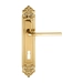 Дверная ручка Extreza "TERNI" (Терни) 320 на планке PL02, полированное золото (cab) (KEY)