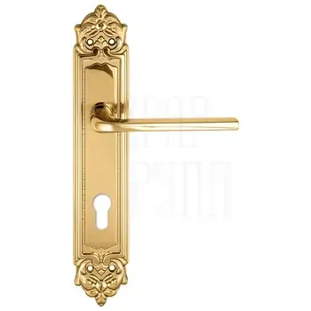 Дверная ручка Extreza "TERNI" (Терни) 320 на планке PL02