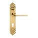 Дверная ручка Extreza "TERNI" (Терни) 320 на планке PL02, полированное золото (cyl)