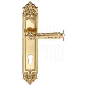 Дверная ручка Extreza 'LEON' (Леон) 303 на планке PL02 полированное золото (cyl)