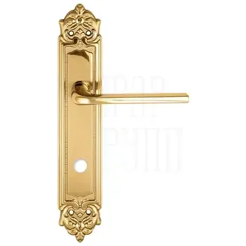 Дверная ручка Extreza "TERNI" (Терни) 320 на планке PL02