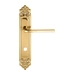 Дверная ручка Extreza "TERNI" (Терни) 320 на планке PL02, полированное золото (wc)