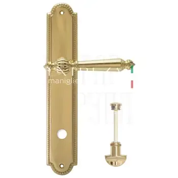 Дверная ручка Extreza "DANIEL" (Даниел) 308 на планке PL03