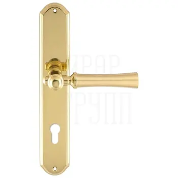 Дверная ручка Extreza 'DEZI' (Дези) 309 на планке PL01 матовое золото (cyl)