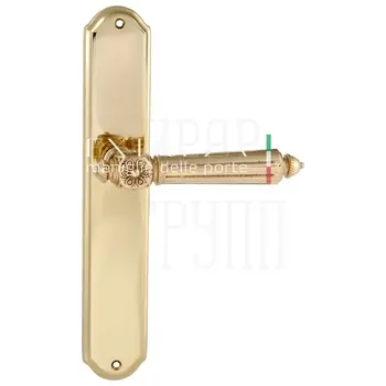 Дверная ручка Extreza 'LEON' (Леон) 303 на планке PL01 полированное золото