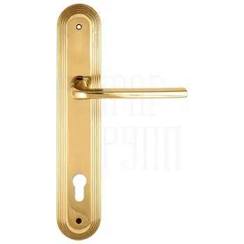 Дверная ручка Extreza 'TERNI' (Терни) 320 на планке PL05 полированное золото (cyl)