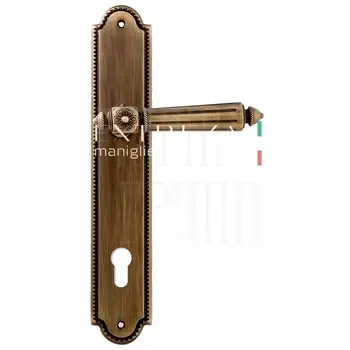 Дверная ручка Extreza "LEON" (Леон) 303 на планке PL03