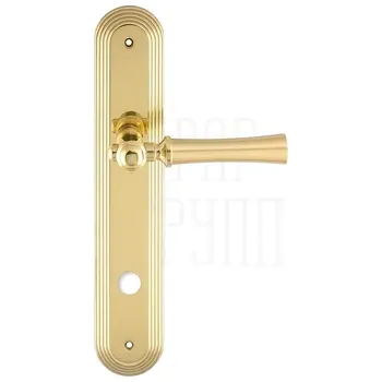 Дверная ручка Extreza 'DEZI' (Дези) 309 на планке PL05 полированное золото (wc)