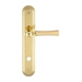 Дверная ручка Extreza "DEZI" (Дези) 309 на планке PL05, полированное золото (wc)