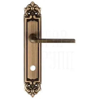 Дверная ручка Extreza "TERNI" (Терни) 320 на планке PL02