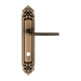 Дверная ручка Extreza "TERNI" (Терни) 320 на планке PL02, матовая бронза (wc)