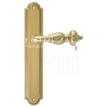 Дверная ручка Extreza 'TESLA' (Тесла) 315 на планке PL03 полированное золото