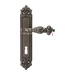 Дверная ручка Extreza "TESLA" (Тесла) 315 на планке PL02, античное серебро (cab) (KEY)