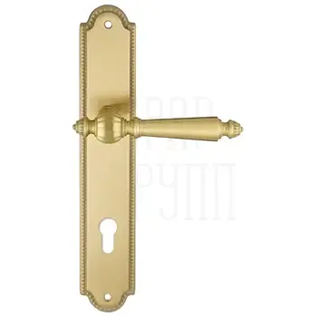 Дверная ручка Extreza "DANIEL" (Даниел) 308 на планке PL03