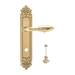 Дверная ручка Extreza "MIREL" (Мирель) 316 на планке PL02, полированное золото (wc)