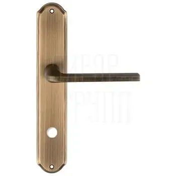 Дверная ручка Extreza "TERNI" (Терни) 320 на планке PL01