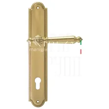 Дверная ручка Extreza "DANIEL" (Даниел) 308 на планке PL03