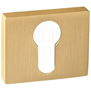 Накладка прямоуг. на цилиндр Renz INET 01