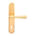 Дверная ручка на планке Melodia 245/131 'Tako', полированная латунь (key)