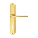 Дверная ручка Extreza "TERNI" (Терни) 320 на планке PL01, полированное золото (cyl)