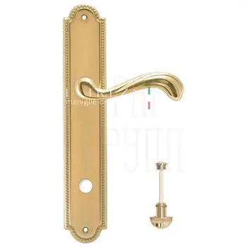 Дверная ручка Extreza 'NINA' (Нина) 317 на планке PL03 полированное золото (wc)