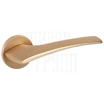 Дверная ручка Fuaro (Фуаро) на круглой розетке R.ZLR52.ETALON