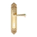 Дверная ручка Extreza "PETRA" (Петра) 304 на планке PL02, полированное золото (cab) (KEY)