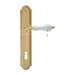 Дверная ручка Extreza 'DANA' (Дана) 305 на планке PL03, полированное золото (key)