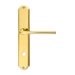 Дверная ручка Extreza 'TERNI' (Терни) 320 на планке PL01, полированная латунь (wc)