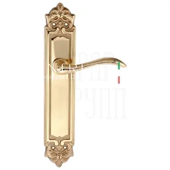 Дверная ручка Extreza 'AGATA' (Агата) 310 на планке PL02 полированное золото