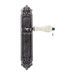 Дверная ручка Extreza 'DANA CRACKLE' (Дана Кракле) 306 на планке PL02, античное серебро