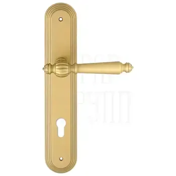 Дверная ручка Extreza "DANIEL" (Даниел) 308 на планке PL05