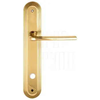 Дверная ручка Extreza "TERNI" (Терни) 320 на планке PL05