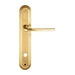 Дверная ручка Extreza "TERNI" (Терни) 320 на планке PL05, полированное золото (wc)