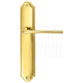 Дверная ручка Extreza 'TERNI' (Терни) 320 на планке PL03 полированное золото