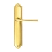 Дверная ручка Extreza "TERNI" (Терни) 320 на планке PL03, полированное золото