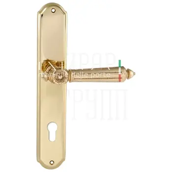 Дверная ручка Extreza 'LEON' (Леон) 303 на планке PL01 полированное золото (cyl)