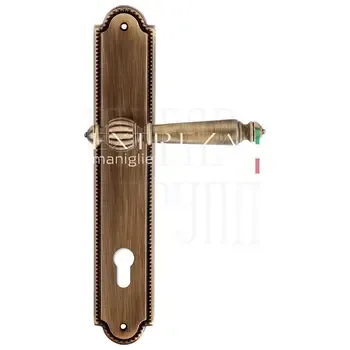 Дверная ручка Extreza "DANIEL" (Даниел) 308 на планке PL03