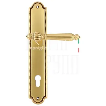 Дверная ручка Extreza 'DANIEL' (Даниел) 308 на планке PL03 французское золото (cyl)