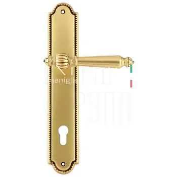 Дверная ручка Extreza "DANIEL" (Даниел) 308 на планке PL03