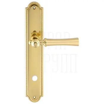 Дверная ручка Extreza 'DEZI' (Дези) 309 на планке PL03 полированное золото (wc)